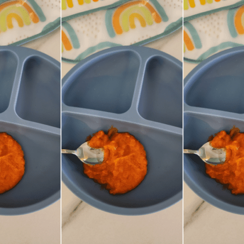 how to make your own baby food purees
