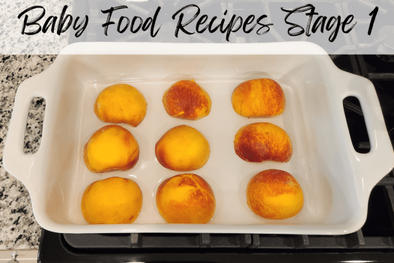 6 Yummy Baby Food Recipes Stage 1 To Whip Up Right Now | Plus Helpful