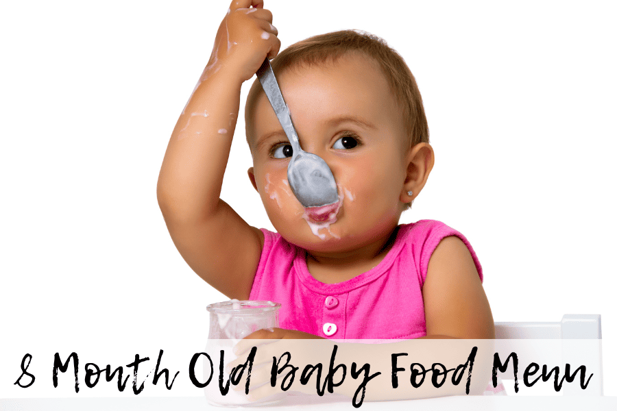 8 month old baby food menu vegetarian