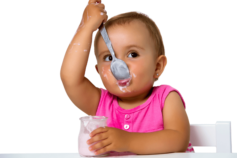 8 month old baby food ideas