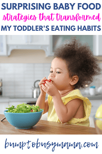 baby food for picky eaters