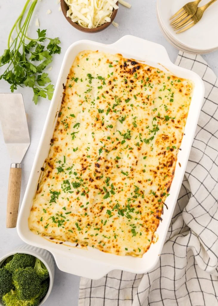 chicken alfredo lasagna