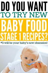baby food stage 1 recipes
