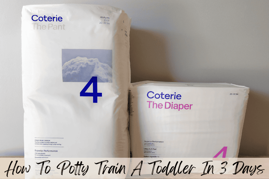 how to potty train a toddler in 3 days 1