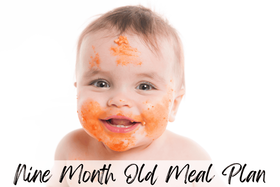 9 month old meal plan