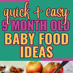 9 month old baby food ideas