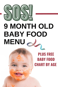 9 month old baby food menu