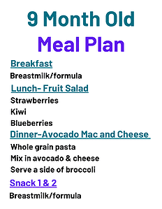 9 month old meal plan