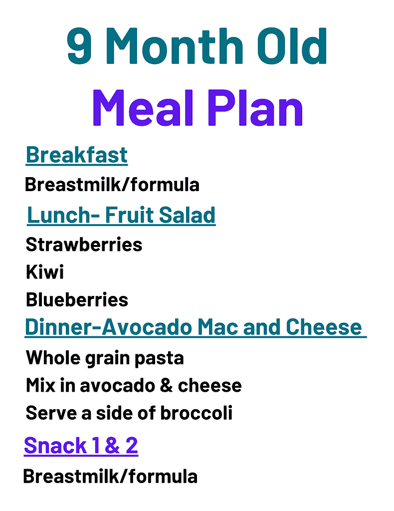 easy-low-prep-9-month-old-meal-plan-bump-to-busy-mama