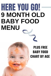 9 month old baby food ideas