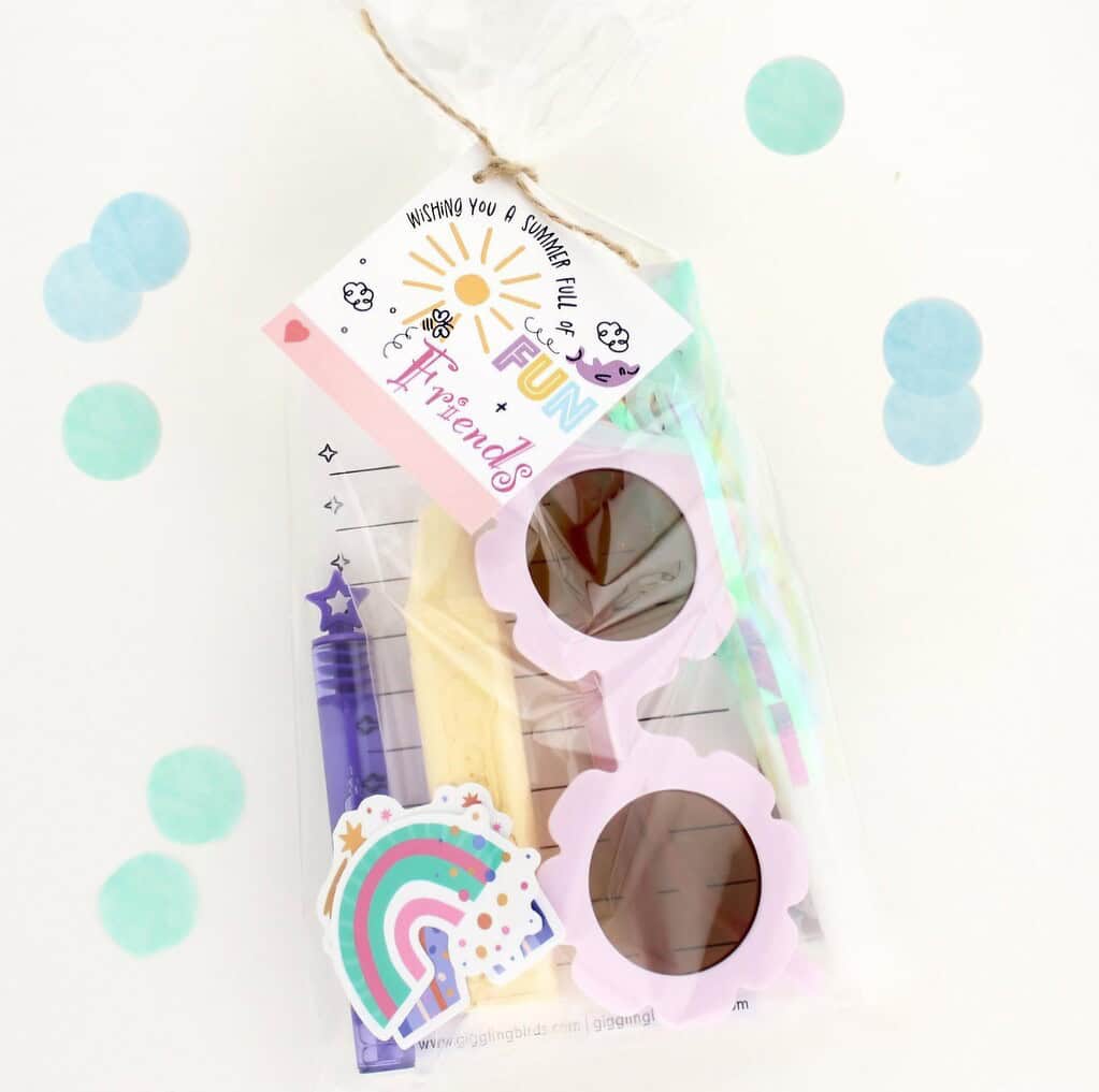noopener nofollow sponsored summer party favor bags