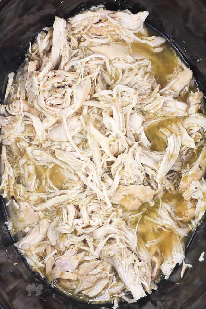 2 ingredient salsa verde chicken